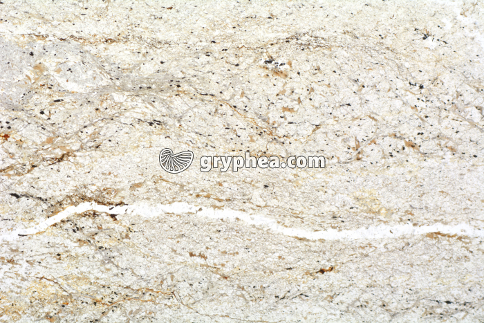 Micaschiste à andalousite LPNA x3,5 - gryphea.com